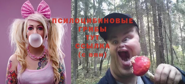 тгк Козловка