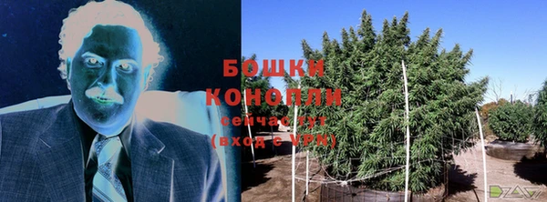 ГАЛЛЮЦИНОГЕННЫЕ ГРИБЫ Киреевск