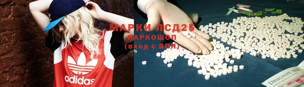ГАЛЛЮЦИНОГЕННЫЕ ГРИБЫ Киреевск