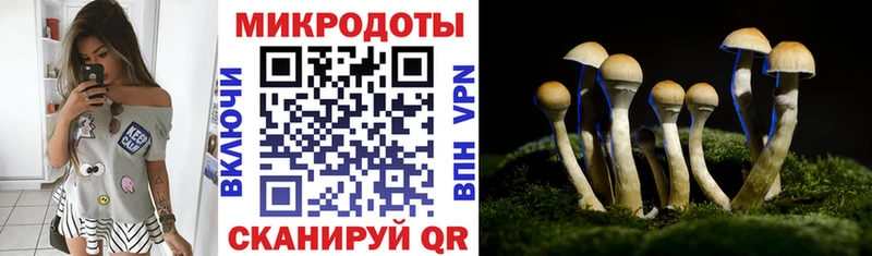Купить где  Зея  Псилоцибиновые грибы ЛСД 